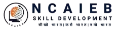 NCAIEB Logo